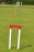 lawns-icon-c-sml.png